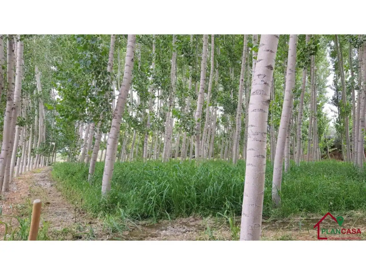 Exterior view of Land for sale in Purullena