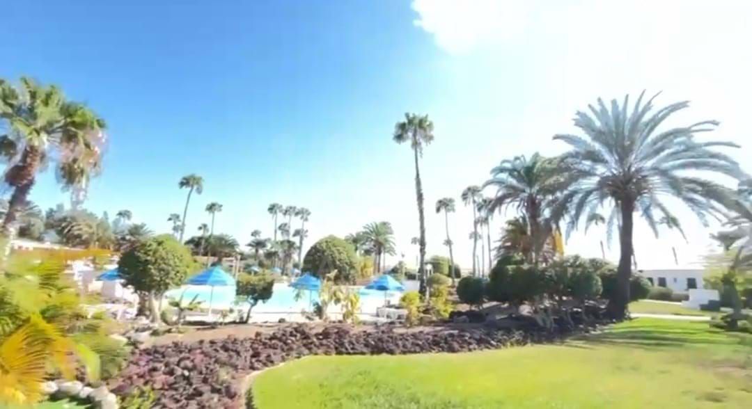 Garden of House or chalet for sale in San Bartolomé de Tirajana  with Air Conditioner, Heating and Terrace