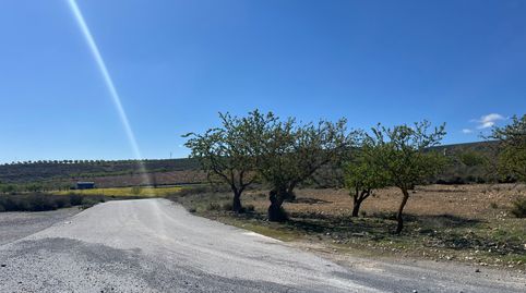 Finca en Carretera de la cabra Padul, immagine 2