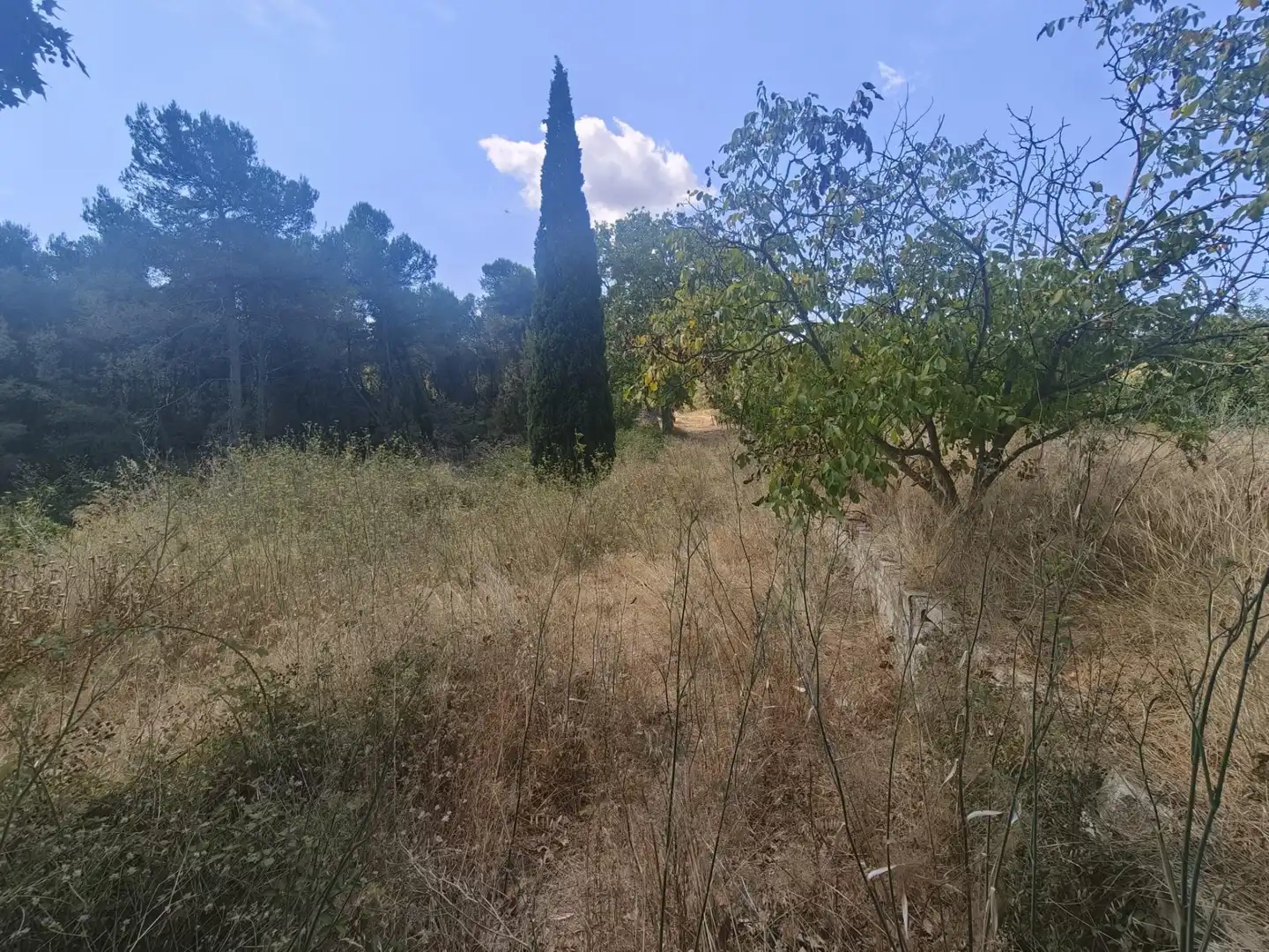 Casa con piscina en venta en CAL PONS, imagen 75