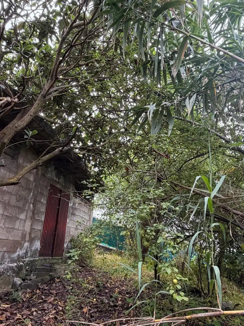 Terreno rustico in vendita a El Bebedero - Pinolere - Aguamansa, imagen 42