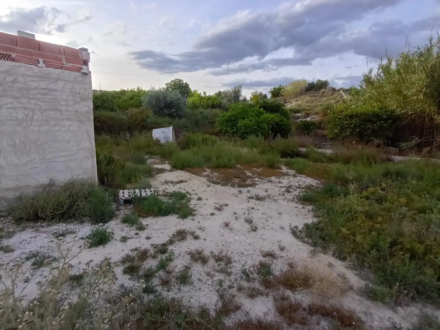 Rural land for sale in Archena, imagen 20