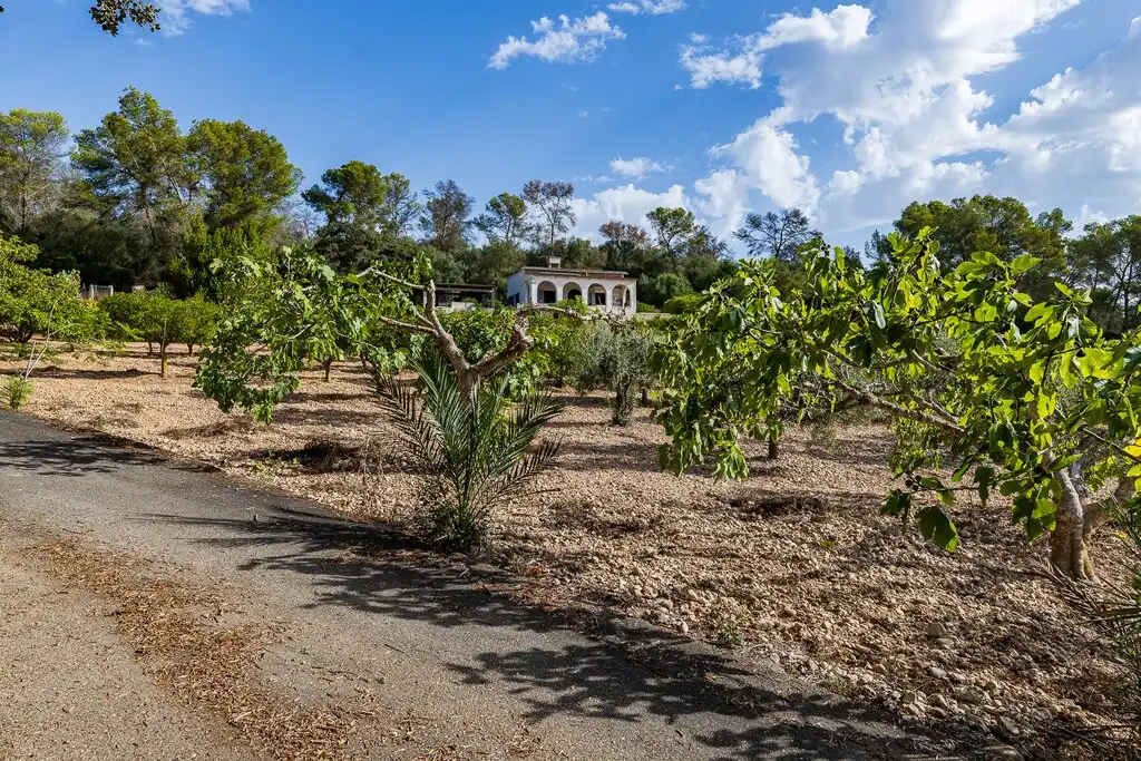 Casa rustica con giardino in vendita a Algaida, imagen 34
