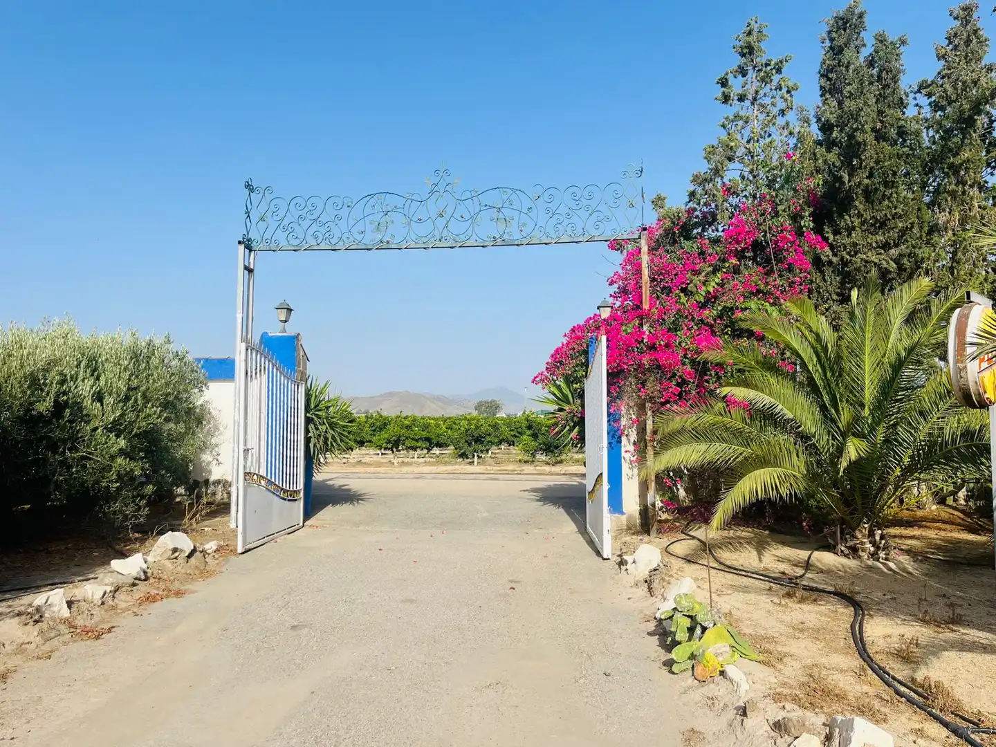Casa con jardín en venta en Pedanías Sur, imagen 8