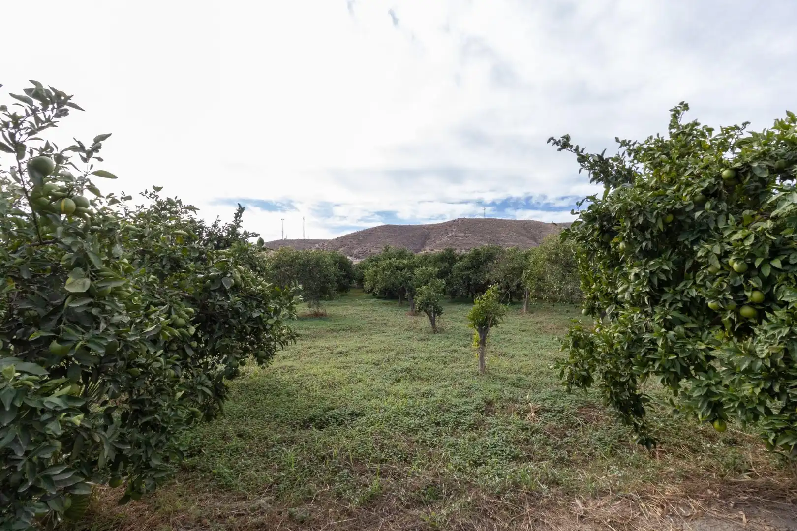 Land for sale in Santa Fe de Mondújar