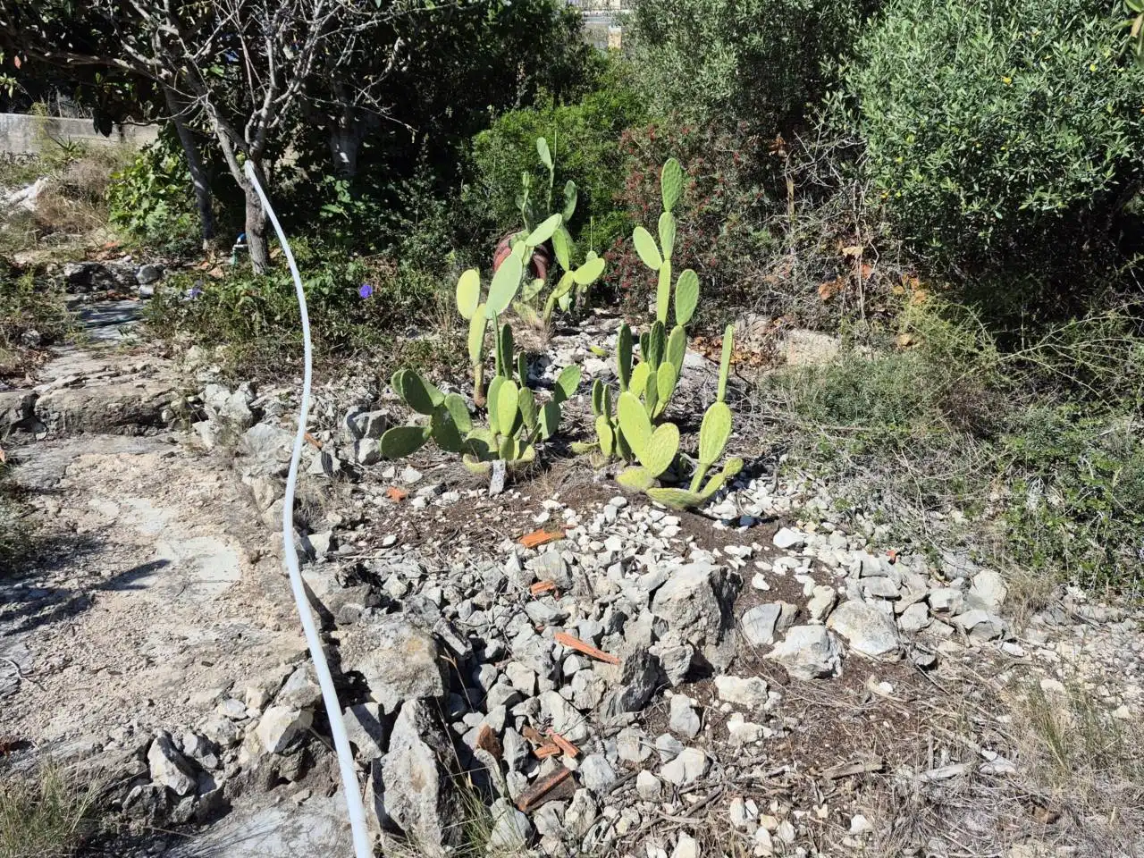 Wohnbaugrundstück zum Verkauf in Mas Trader - Corral d'En Tort - Corral d'En Cona, imagen 35