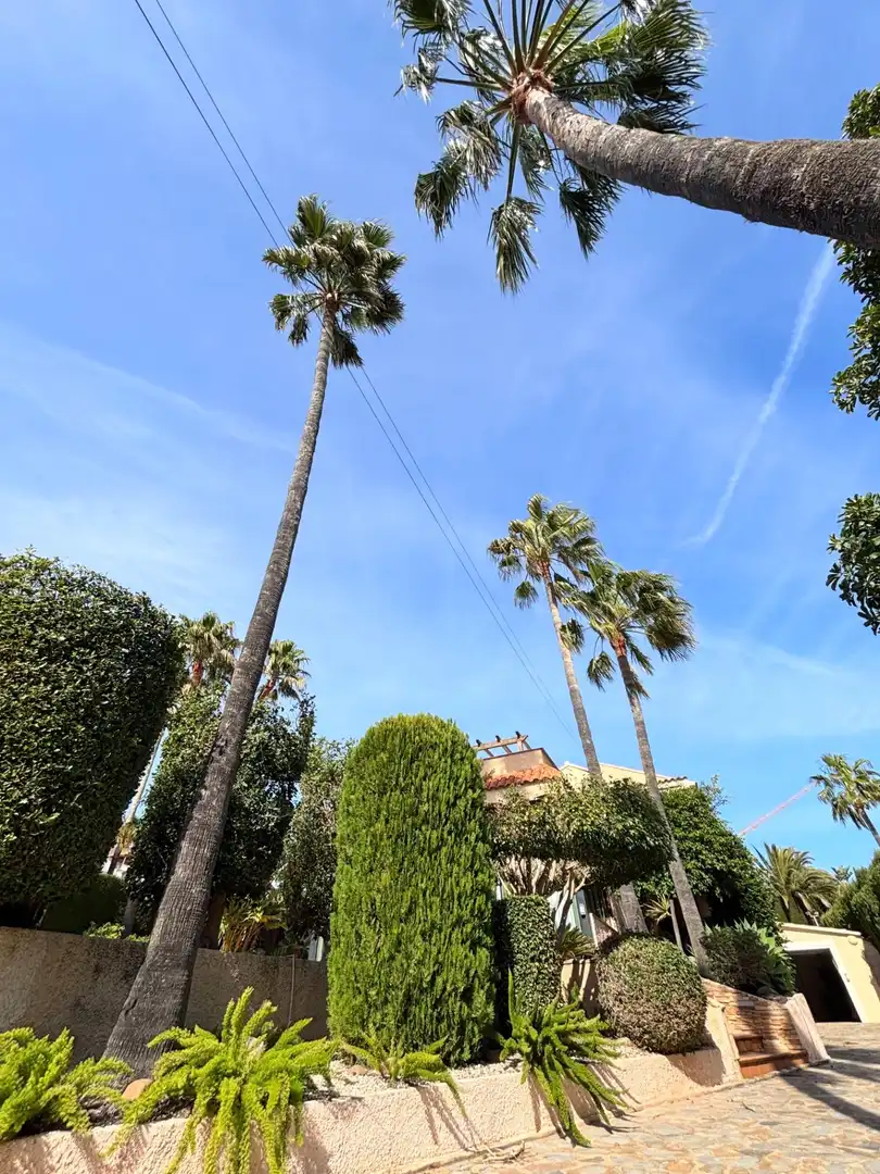 Außenansicht von Haus oder Chalet zum Verkauf in Benidorm mit Klimaanlage, Terrasse und Schwimmbad