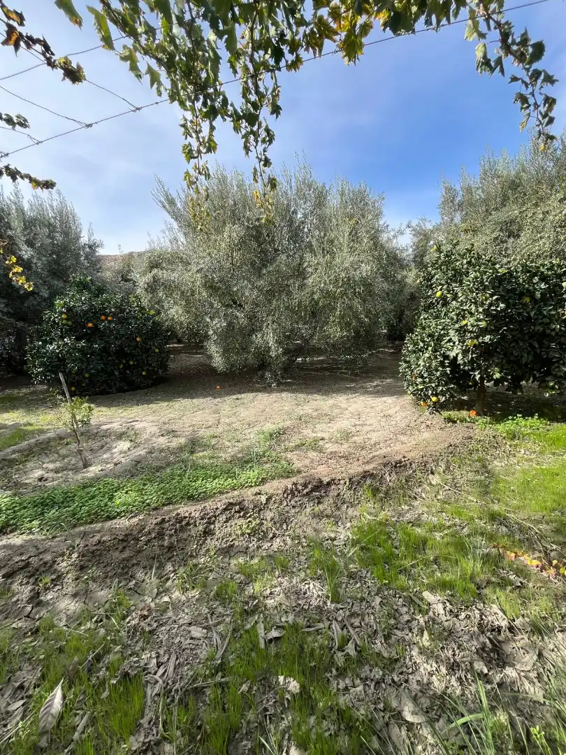 Terreno en venta en Alsodux