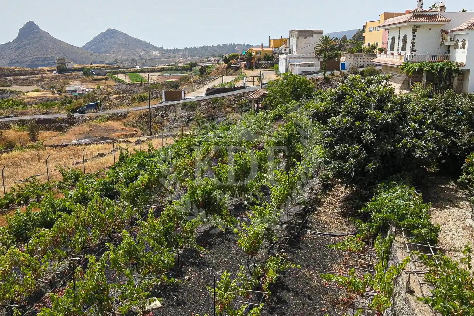 Finca rústica en venda a Calle el Barbecho, Vilaflor de Chasna