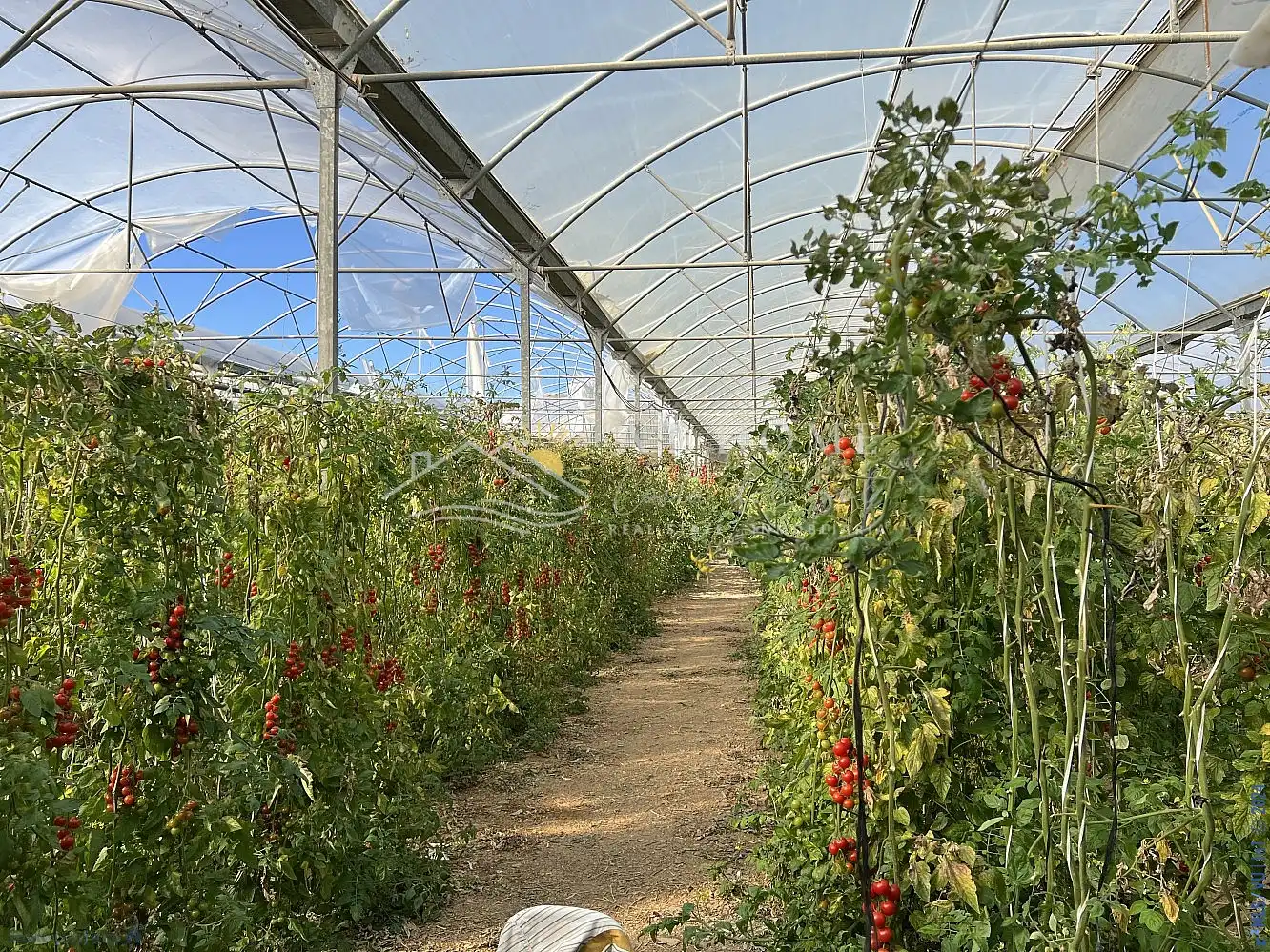 Terrenys i solars en venda a Algarrobo pueblo