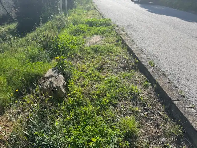 Residential land for sale in Ferrers, 456, imagen 14