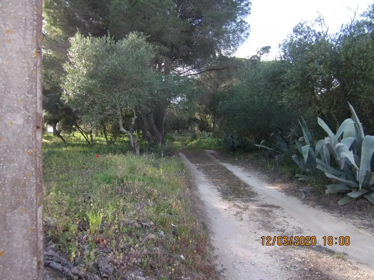 Casa rústica en venda a Barbate ciudad, imagen 9