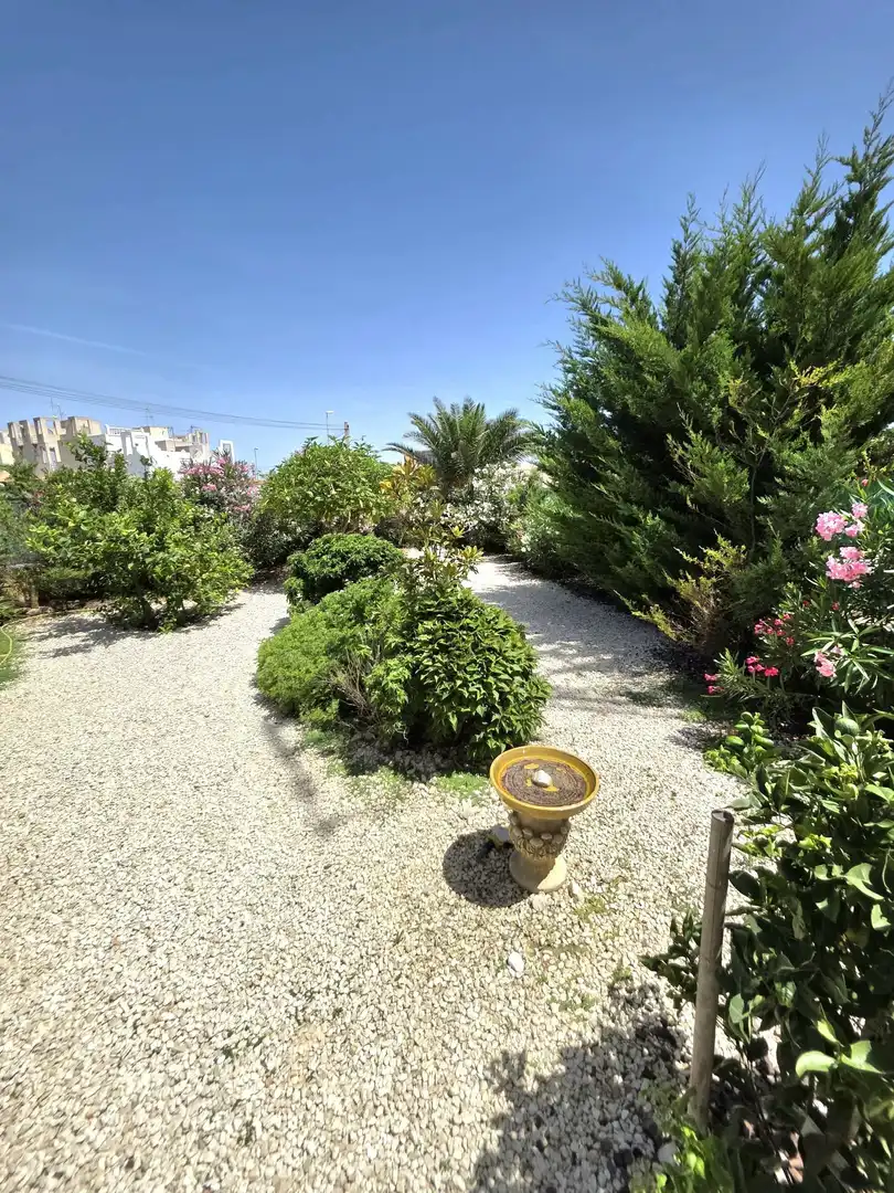 Jardí de Casa o xalet en venda en Torrevieja amb Aire condicionat, Jardí privat i Terrassa