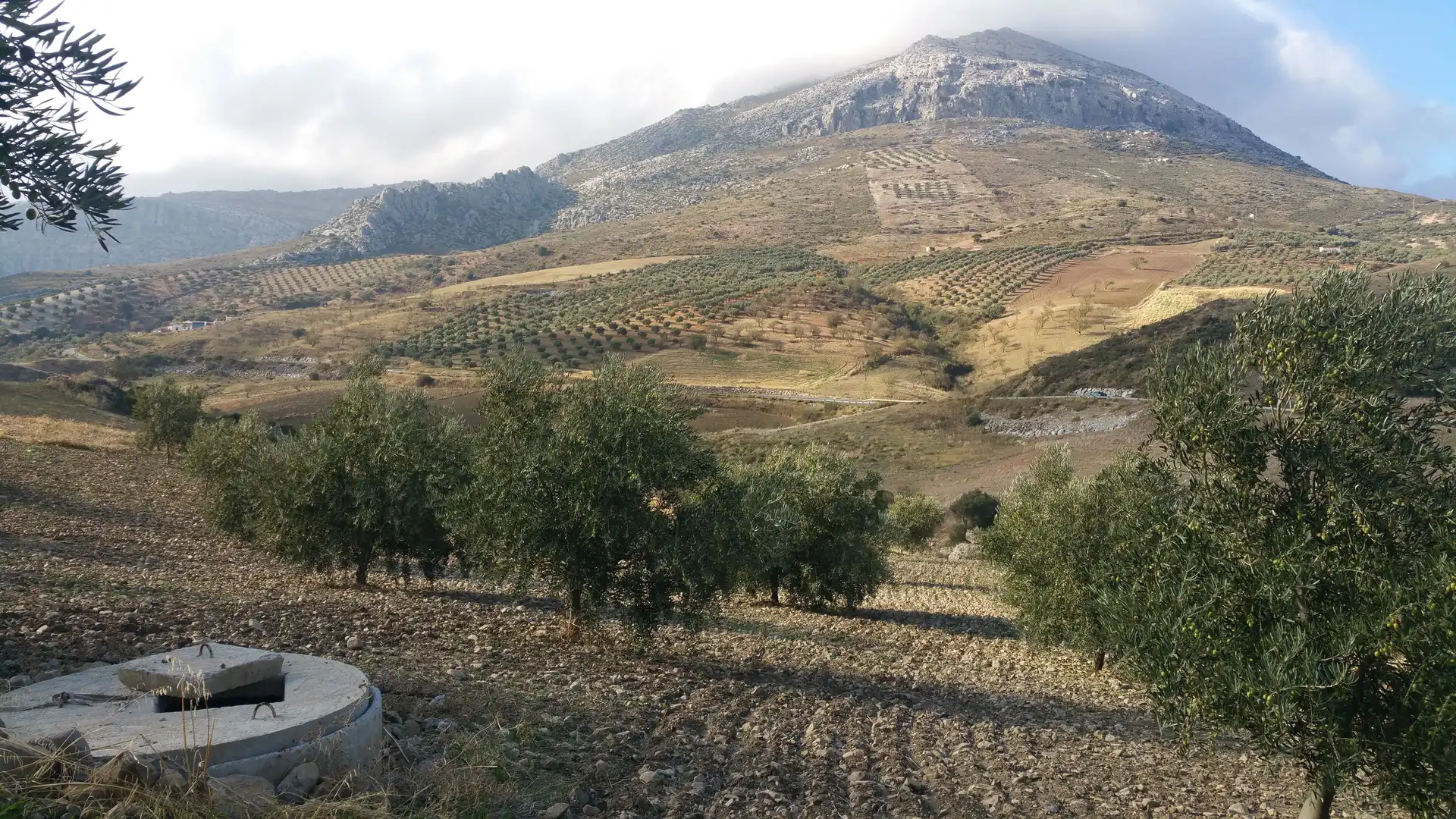 Vista exterior de Finca rústica en venda en Antequera amb Traster