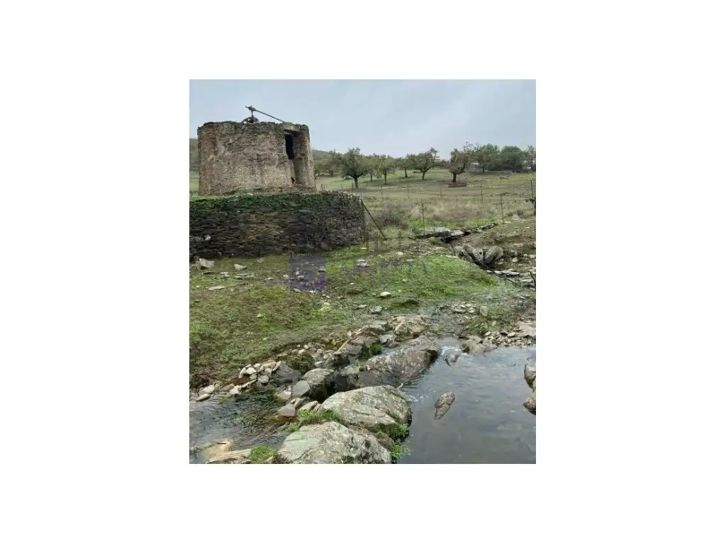 House for sale in Diseminados Carrascal, imagen 17