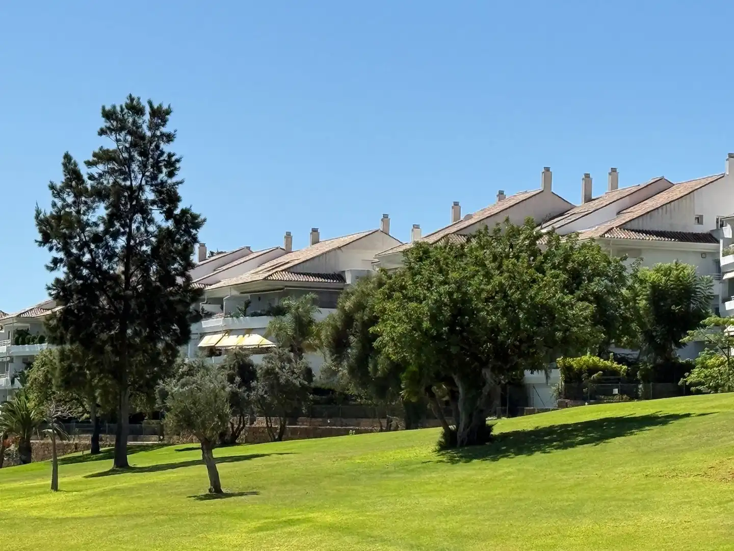 Baixos amb piscina de lloguer a San Pedro de Alcántara, imagen 7