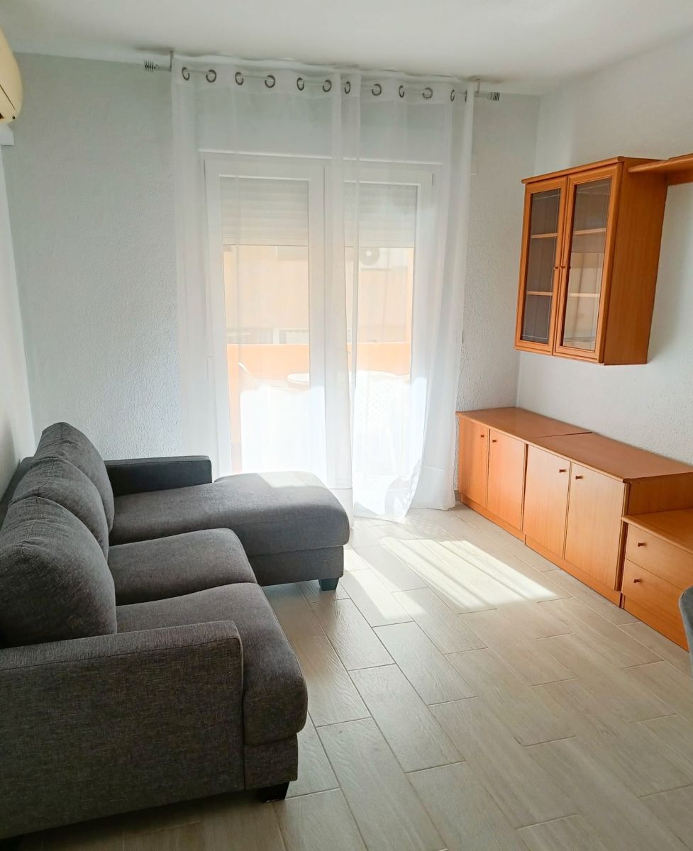 Sala d'estar de Apartament de lloguer en Guardamar del Segura amb Aire condicionat, Moblat i Forn