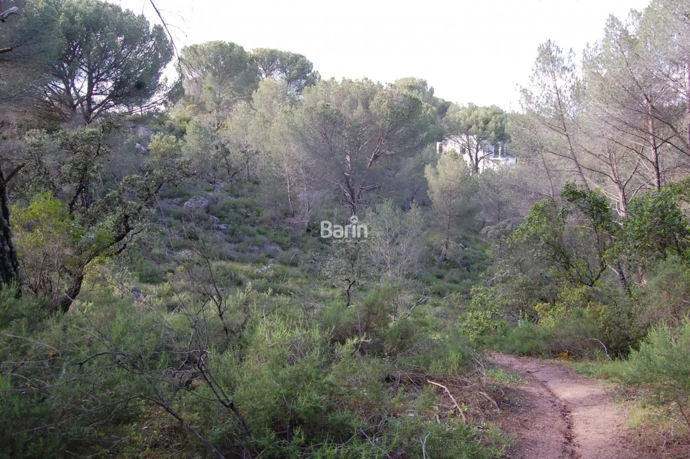 Lands and plots for sale in Periurbano Oeste - Sierra, imagen 4