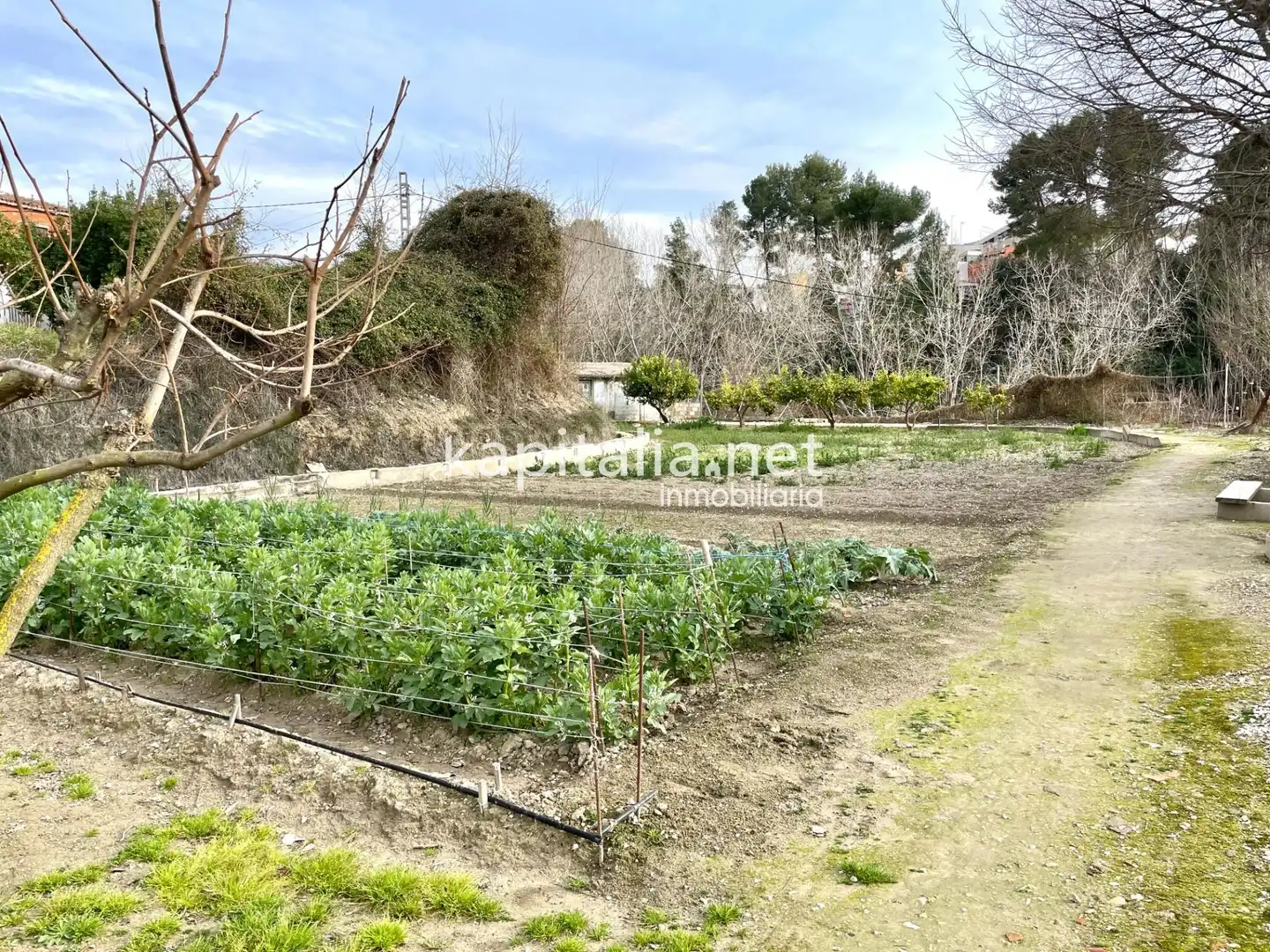 Maison avec piscine à vendre à Albaida, imagen 16