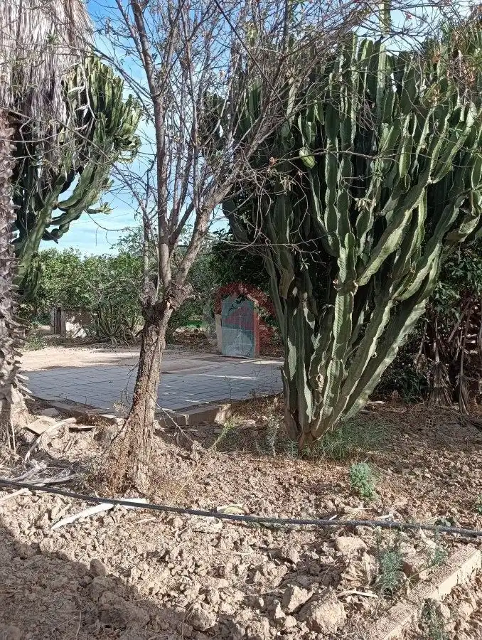 Landhaus mit Garten zum Verkauf in Dehesa Molino Alto, imagen 29