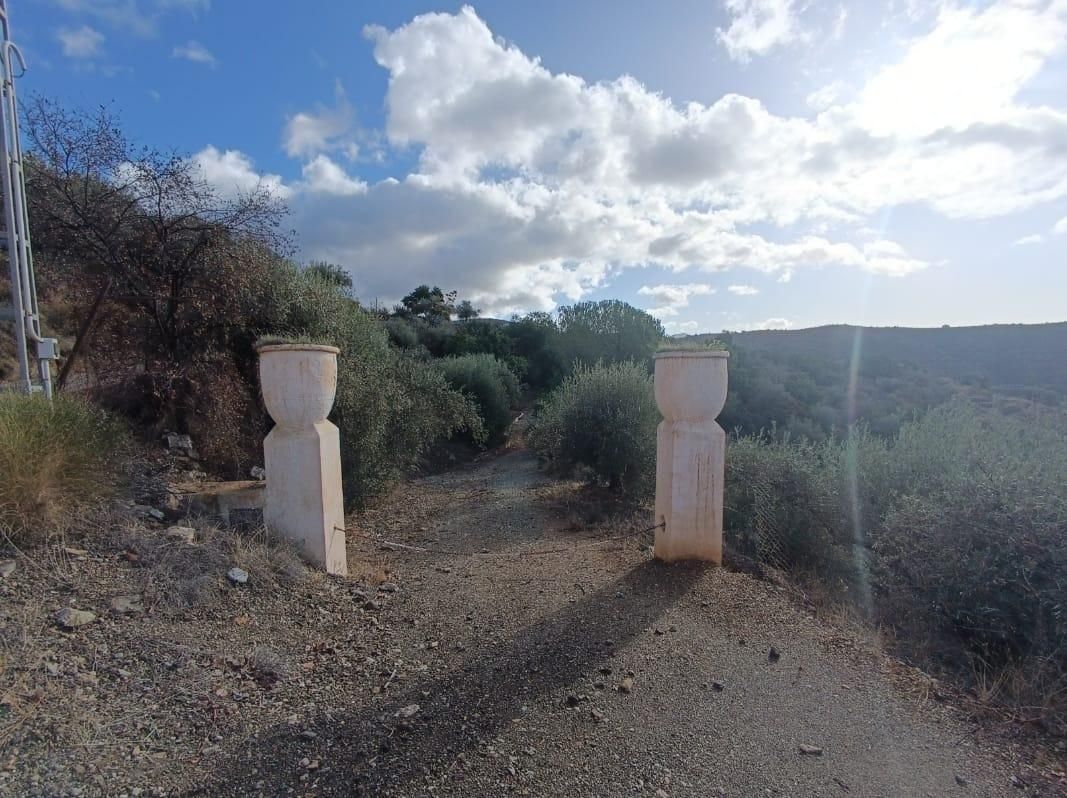 Exterior view of Land for sale in Salares