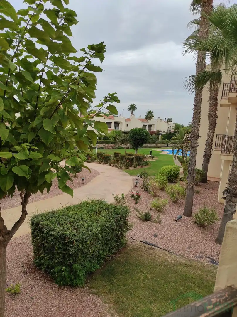 Jardí de Dúplex en venda en San Javier amb Piscina comunitària