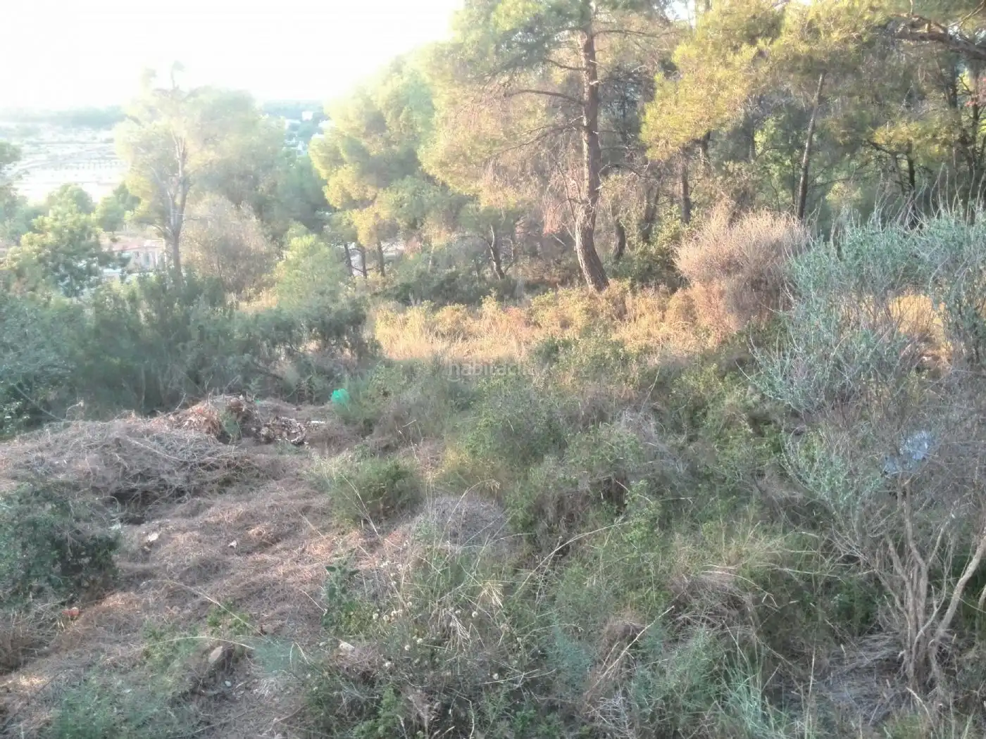 Terreny rústic en venda a Plaça Poligono 11 316, imagen 5