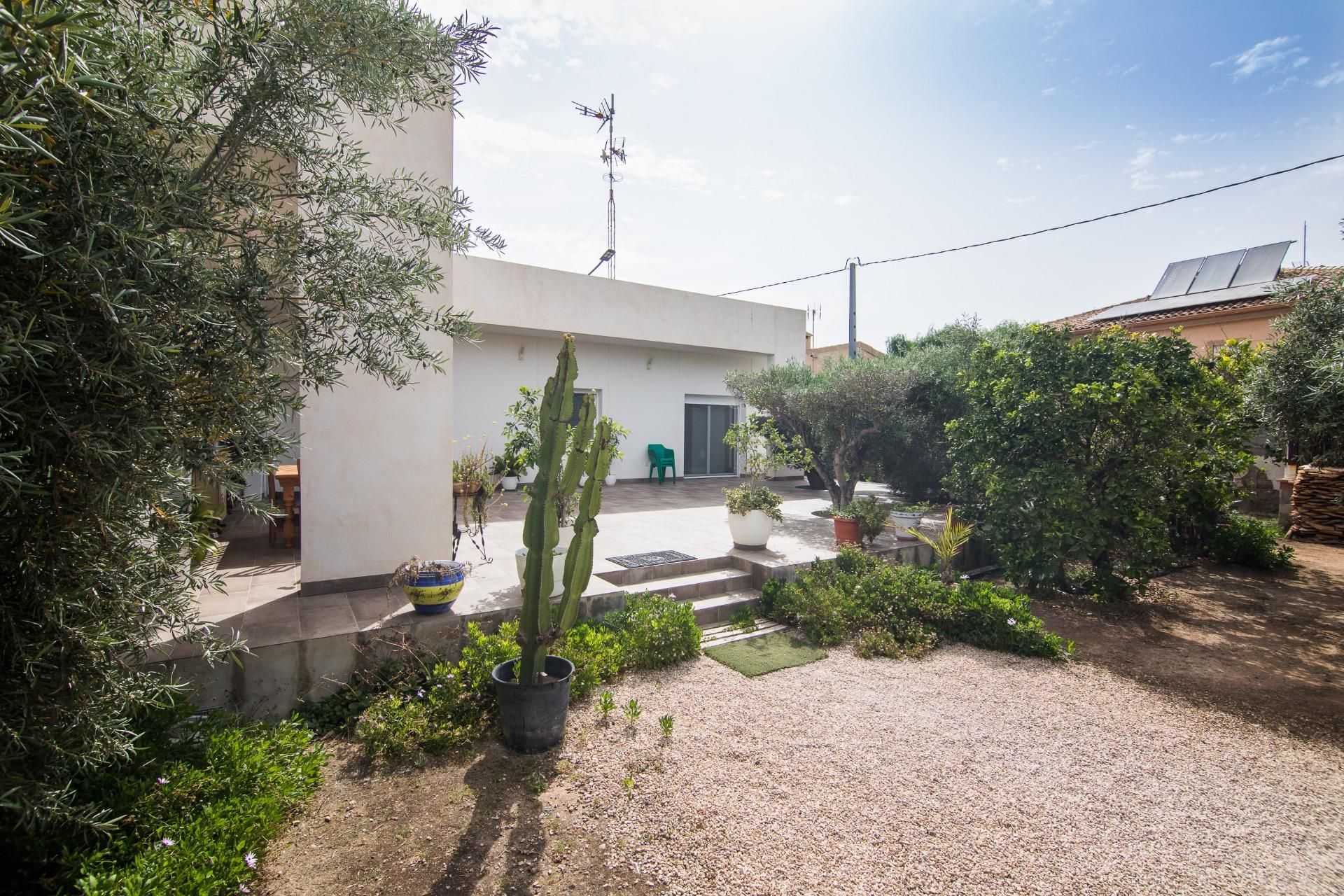 Garden of House or chalet for sale in San Vicente del Raspeig / Sant Vicent del Raspeig  with Terrace