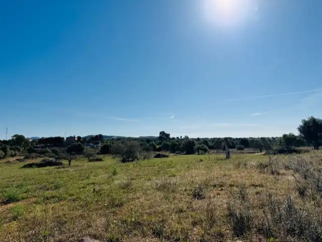 Land for sale in Manacor