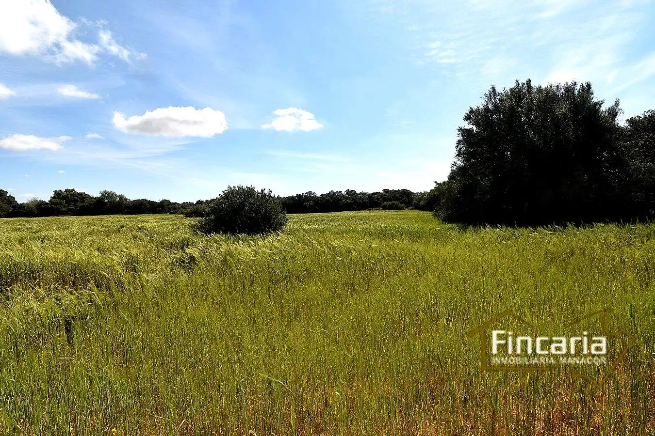 Lands and plots for sale in Ma-5120, imagen 3