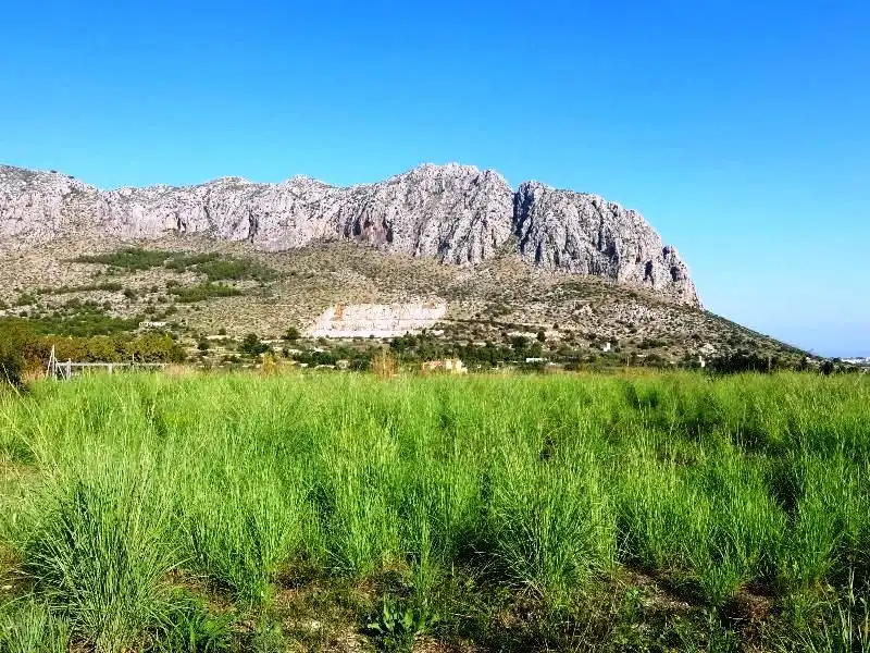 Terreny rústic en venda a Ondara, imagen 11