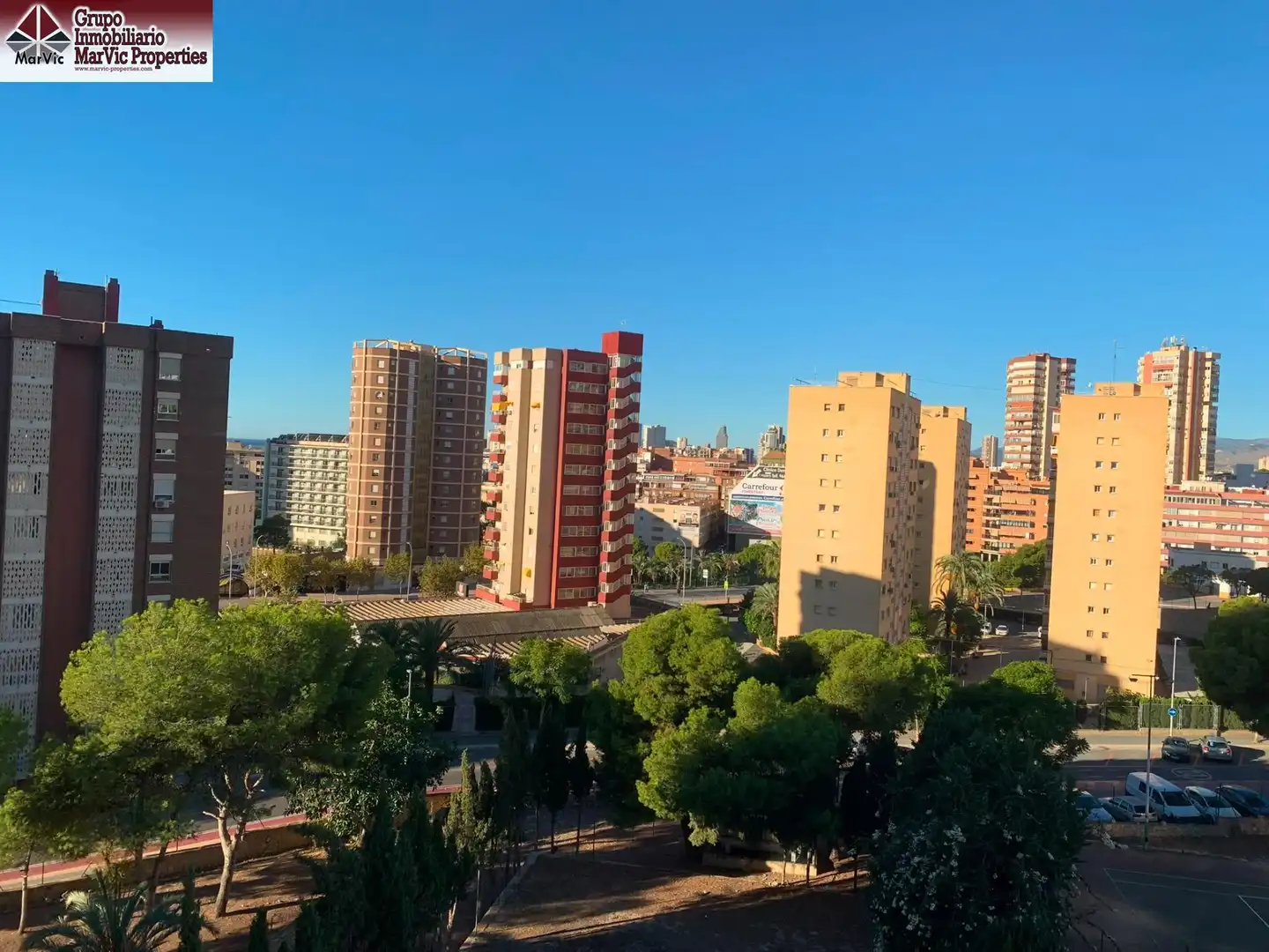 Vista exterior de Estudi en venda en Benidorm amb Jardí privat, Moblat i Piscina comunitària