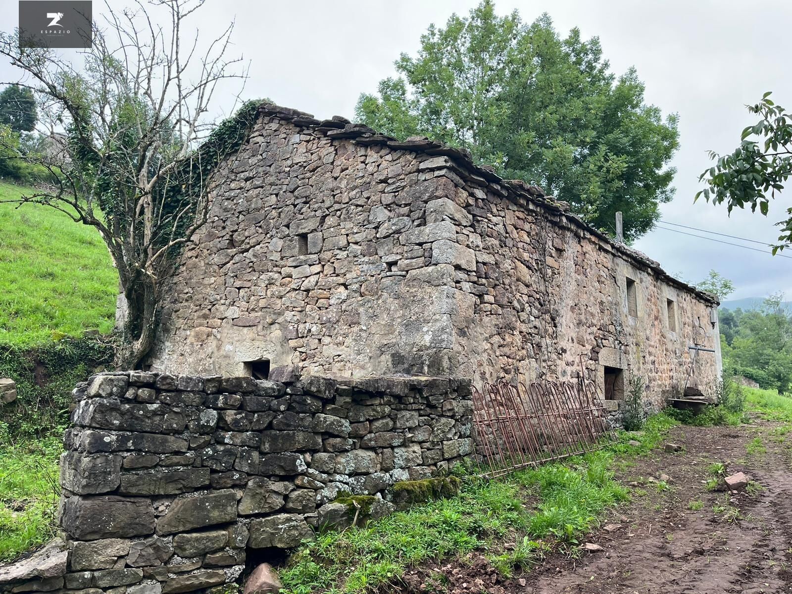 Exterior view of Country house for sale in Selaya