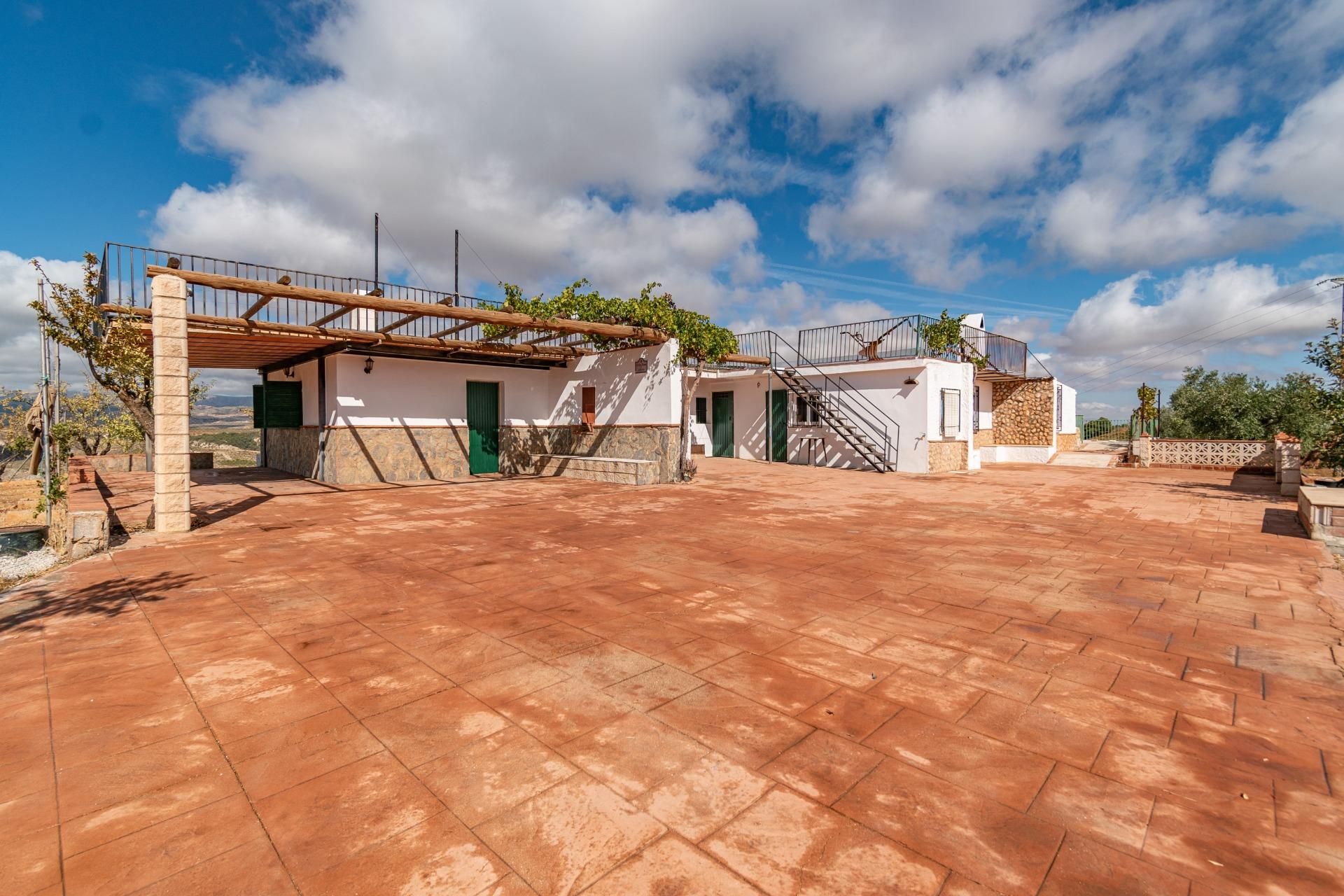 Vista exterior de Finca rústica en venda en La Peza amb Jardí privat, Terrassa i Traster