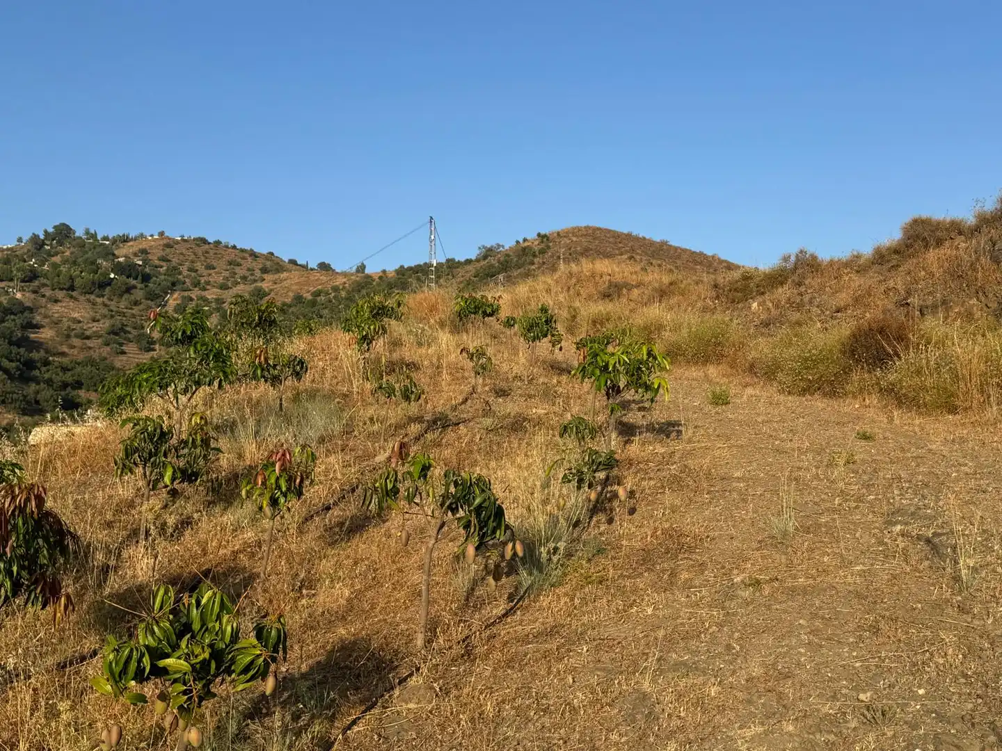 Rustikales Grundstück zum Verkauf in Pago Romeral 332, imagen 12