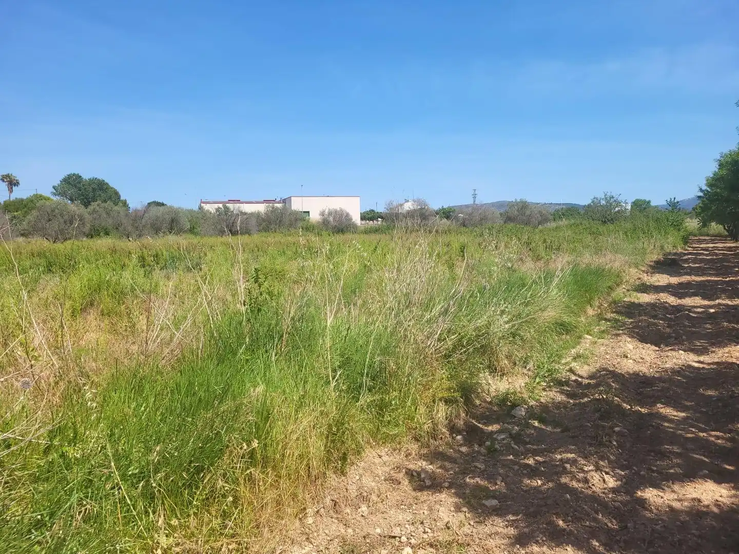 Terreny rústic en venda a Vall d'Alba, imagen 4