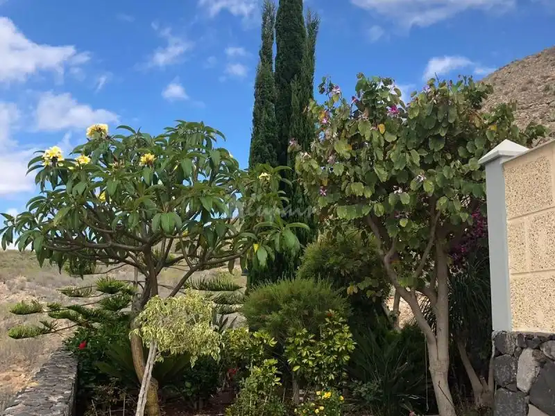 Adossat en venda a Los Cristianos, imagen 53