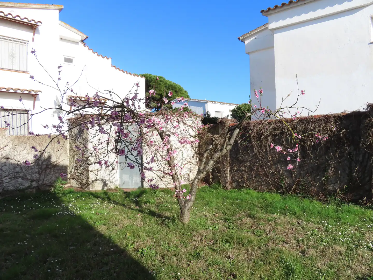 Jardín de Piso en venta en Empuriabrava con Jardín privado, Terraza y Amueblado
