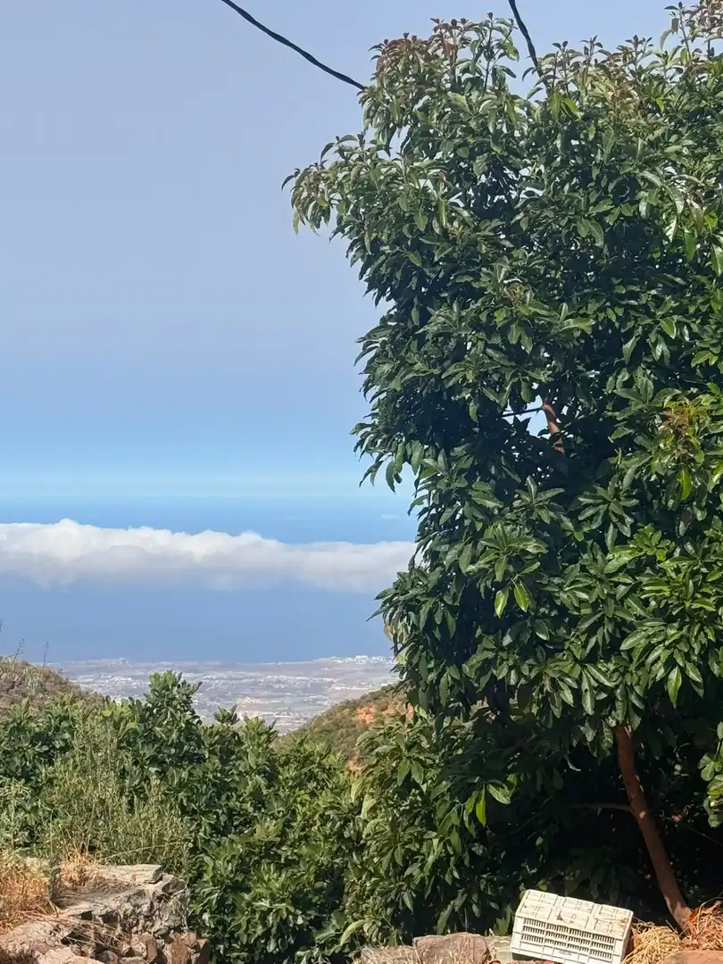 Vista exterior de Finca rústica en venta en Telde