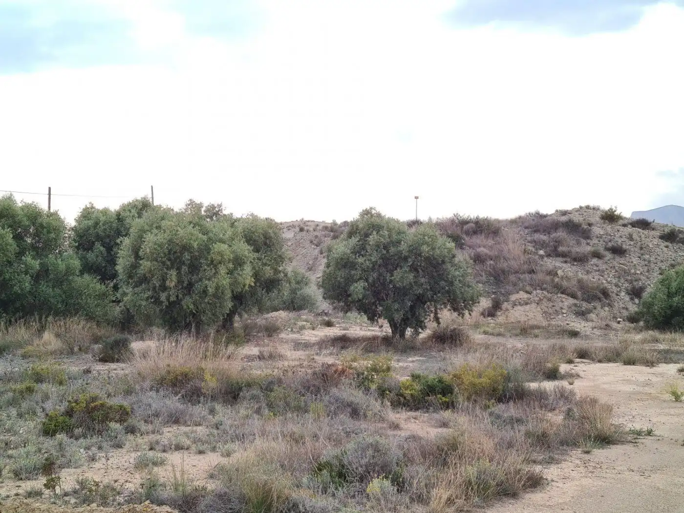 Wohnbaugrundstück zum Verkauf in Partidas de Alicante, imagen 12