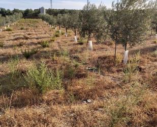 Finca rústica en venda en Fuente de Piedra