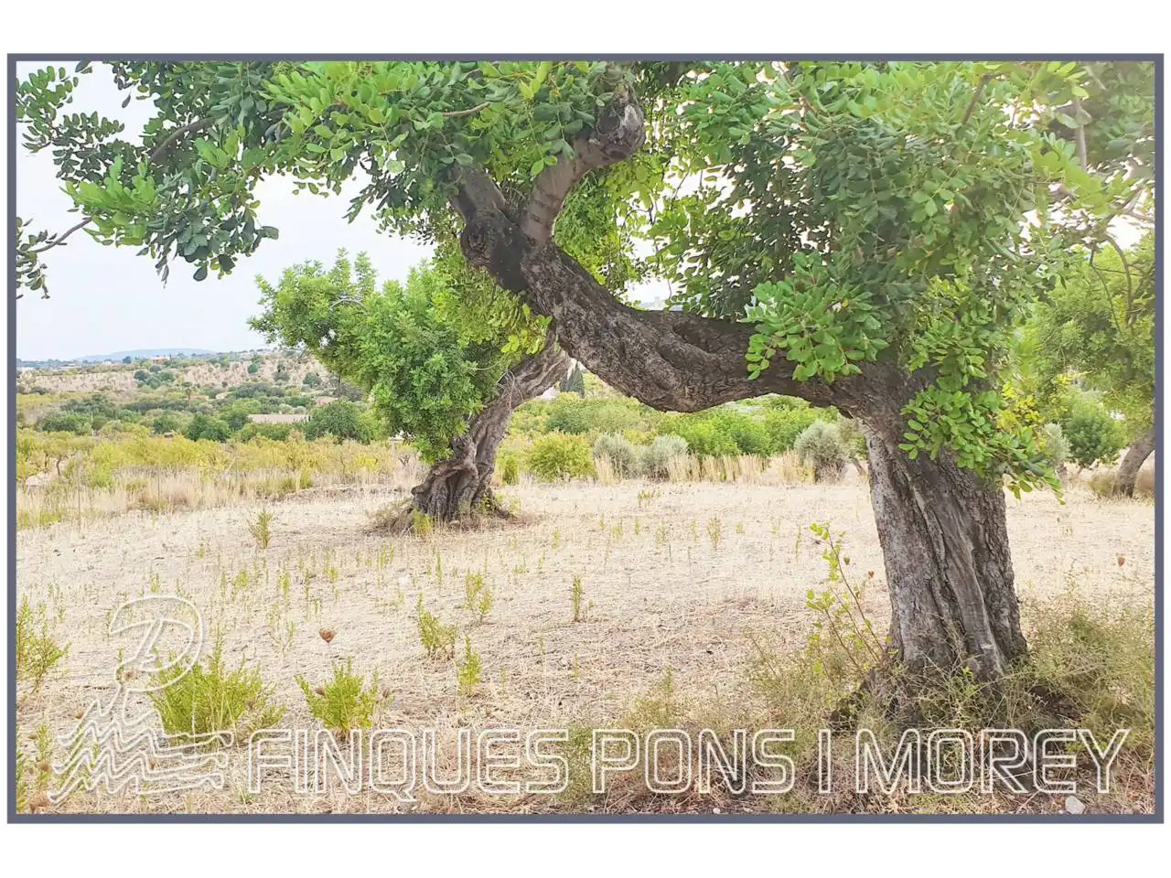 Terrain rustique à vendre à Poligono 16 sn, imagen 6