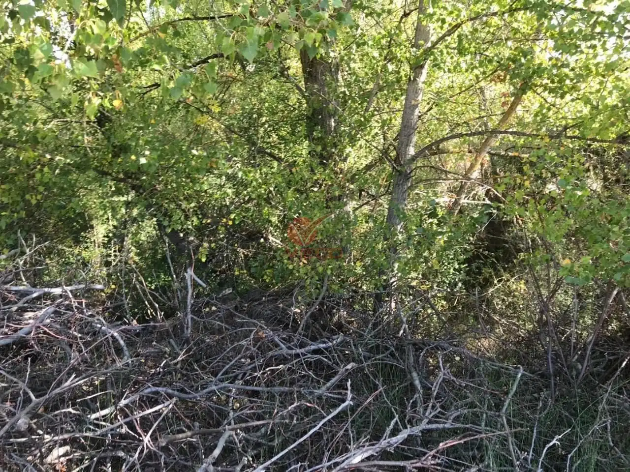 Terreno en venta en Villalba de la Sierra