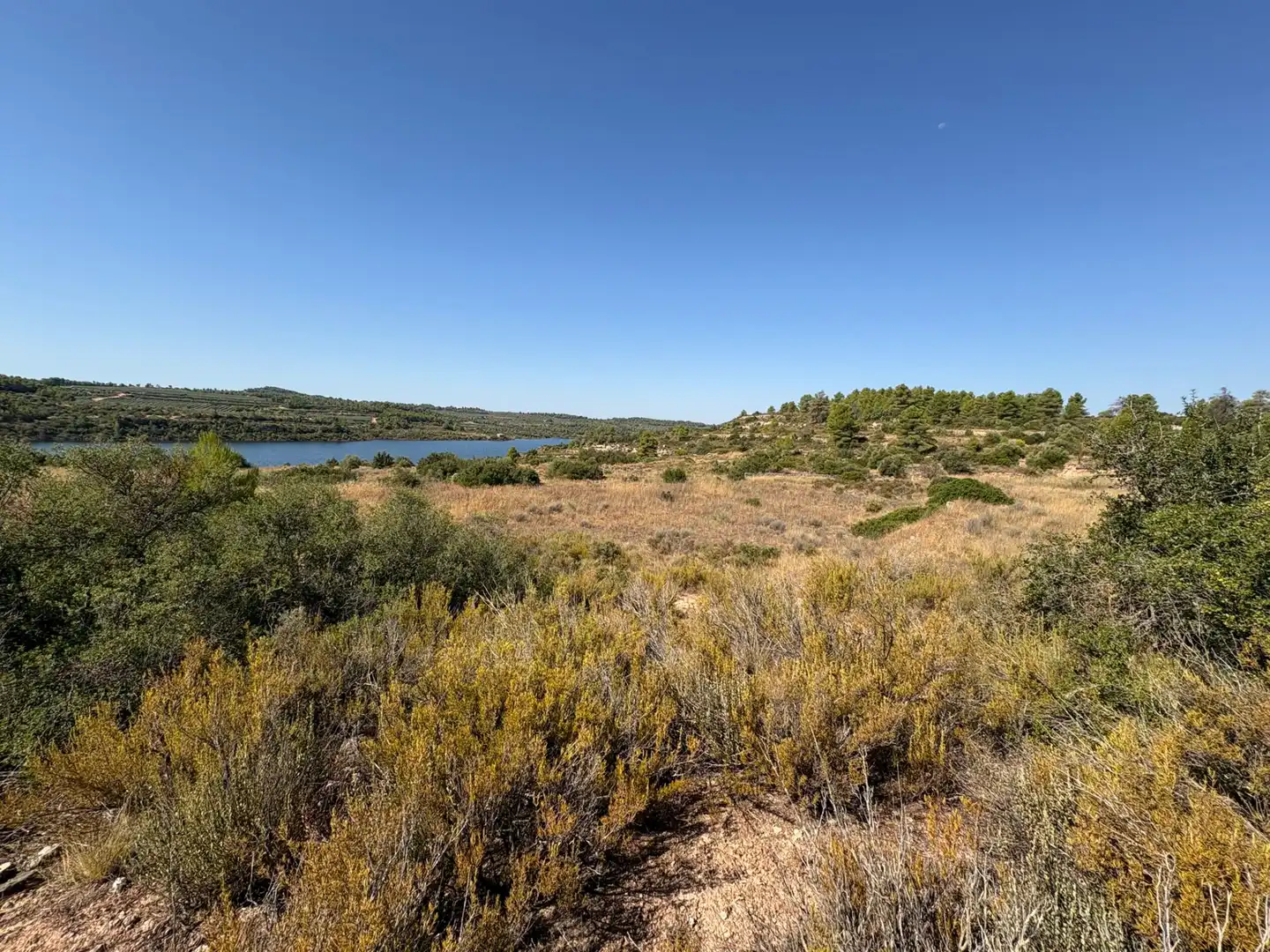 Terreno rustico in vendita a Cervià de Les Garrigues, imagen 37