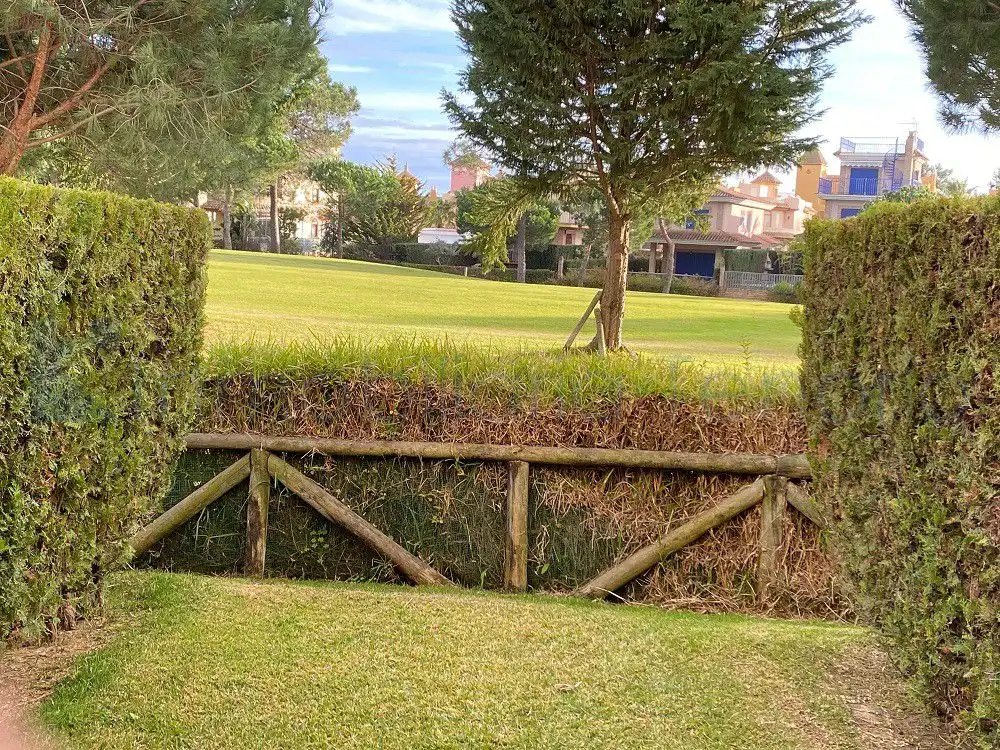 Adosado con terraza en alquiler en de la chirina, imagen 10
