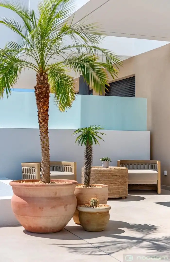 Terraced house with pool for sale in Dolores, imagen 20