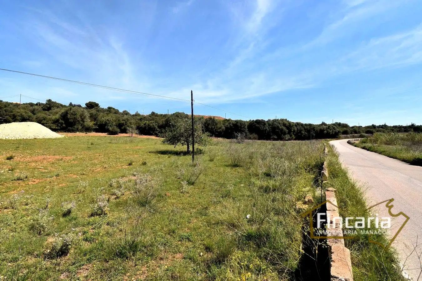 Rural land for sale in De La Torre Nova, imagen 15