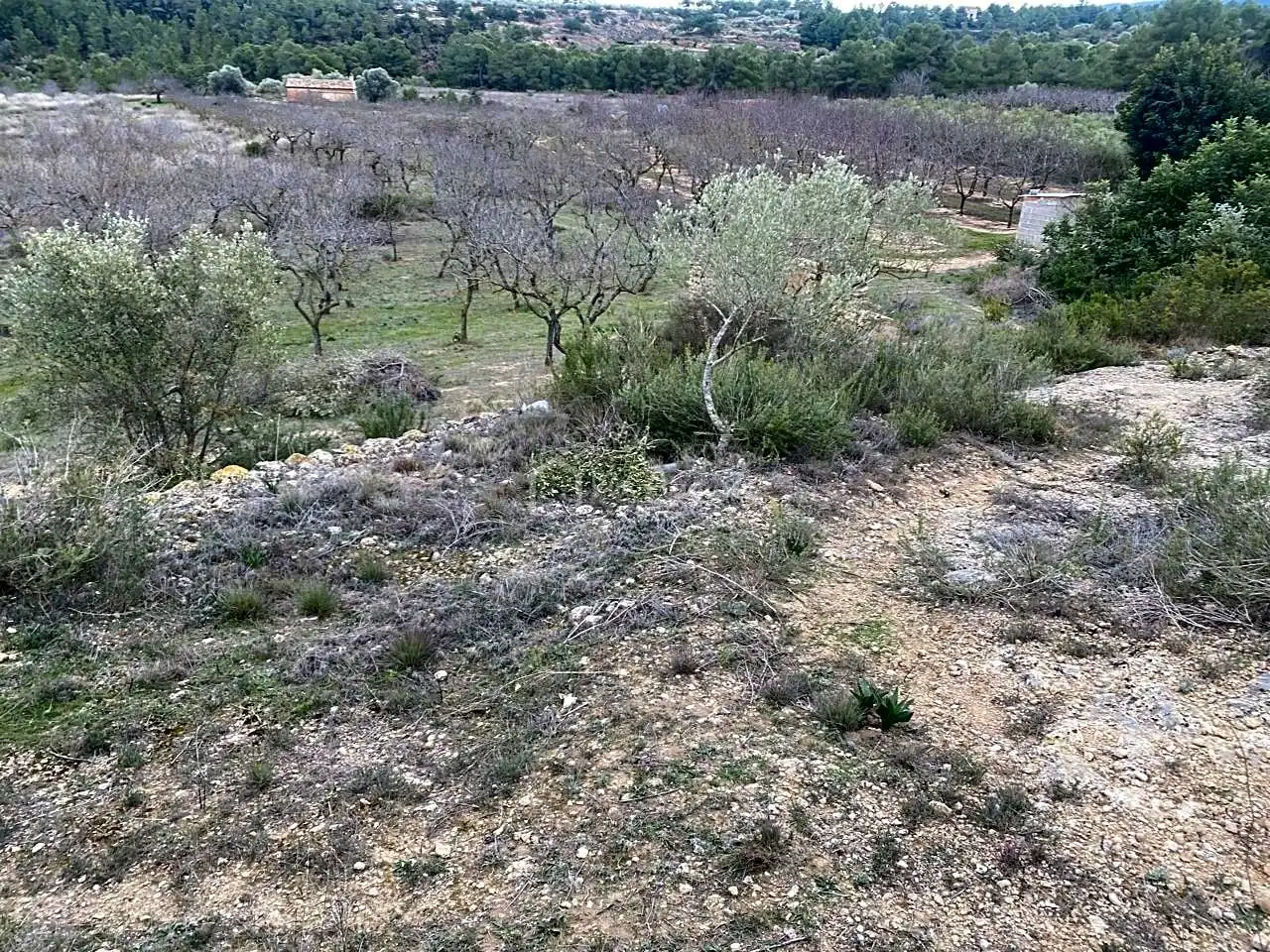 Terrain rustique à vendre à PLANELLES, imagen 21