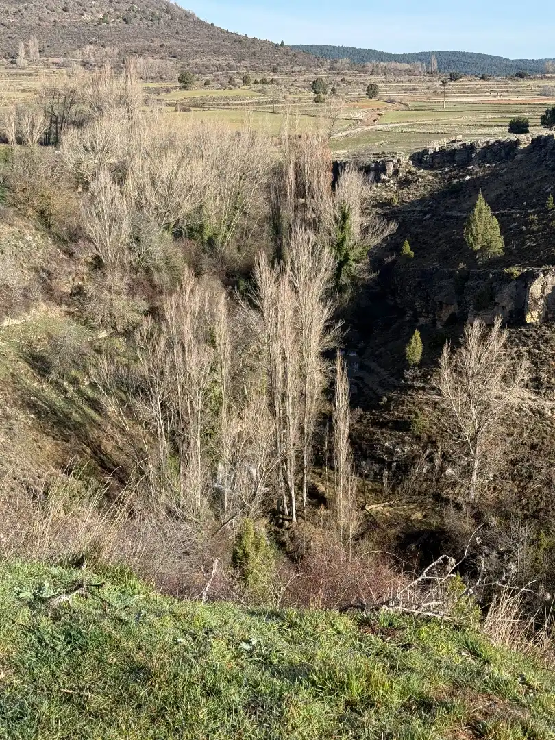 Finca rústica en venta en Castielfabib