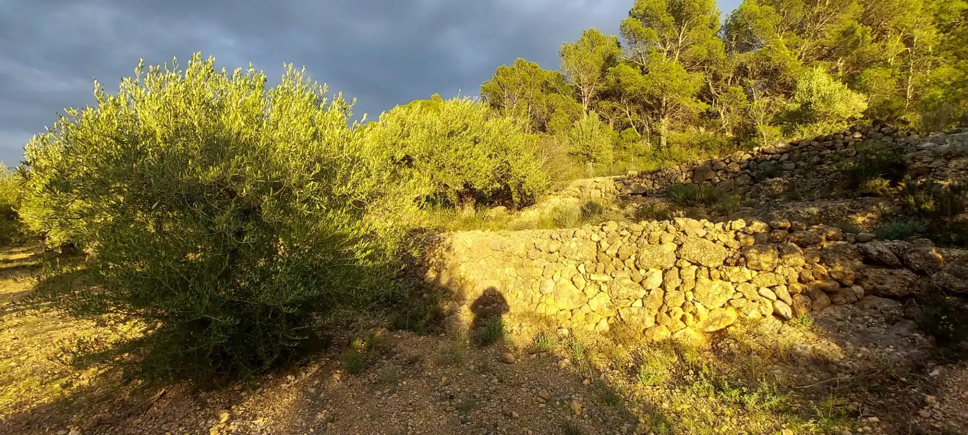 Rural land for sale in Miami Platja, imagen 7